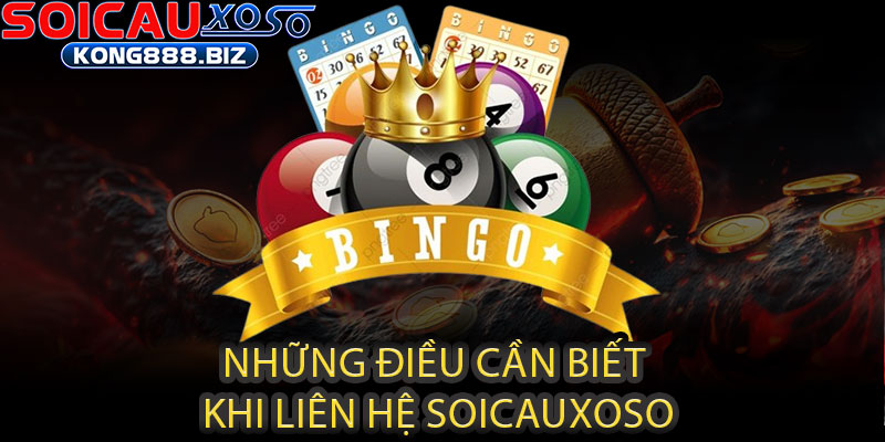 Liên hệ Soicauxoso - Kết nối chuyên gia, bắt lô trúng đậm 2 Những điều cần biết khi liên hệ Soicauxoso
